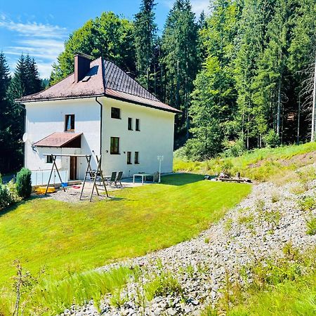 Ferienhaus Lebenskraft Pfaffetschlag 외부 사진